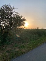 Logo Trauerspaziergang am Abend