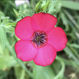 Banner Jahreshauptversammlung 