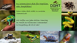 Banner Einladung zu unserem monatlichen Stammtisch