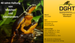 Logo 40 Jahre Haltung von Molchen und Salamandern