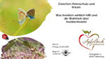 Logo Zwischen Artenschutz und Irrtum: Was Insekten wirklich hilft und die Wahrheit über Insektenhotels!