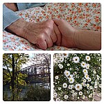 Logo Hospizbüro Öffnungszeiten - Begleitung, Trauer, Trauerspaziergang, Patientenverfügung-Vorsorgevollmacht