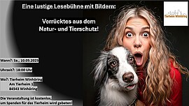 Banner Lustige Lesebühne