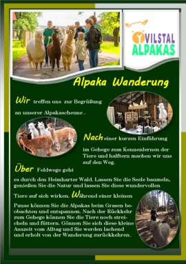 Banner Alpaka Wanderung
