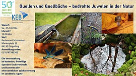 Banner Vortrag: Quellen und Quellbäche