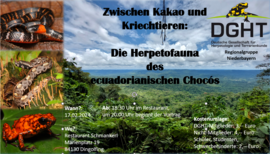 Banner Zwischen Kakao und Kriechtieren: Die Herpetofauna des ecuadorianischen Chocós
