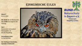 Banner Einheimische Eulen