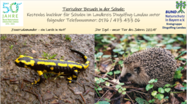 Banner Für Schulen kostenlos buchbar