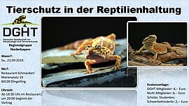 Banner Fachvortrag: Tierschutz in der Reptilienhaltung