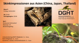 Banner Skinkimpressionen aus Asien (China, Japan, Thailand)