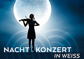 Banner NACHTKONZERT in WEISS