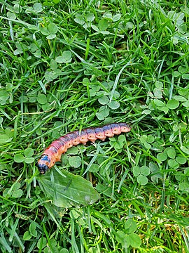 Banner Jahresversammlung 