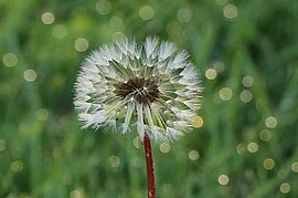 Banner Die wohltuende Kraft von Tanz und Meditation