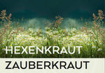 Logo Hexenkraut - Zauberkraut