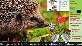 Banner Kinder-Workshop in Mengkofen über den Igel
