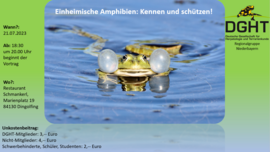 Banner Einheimische Amphibien: Kennen und schützen